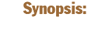 The short-short version. Synopsis
